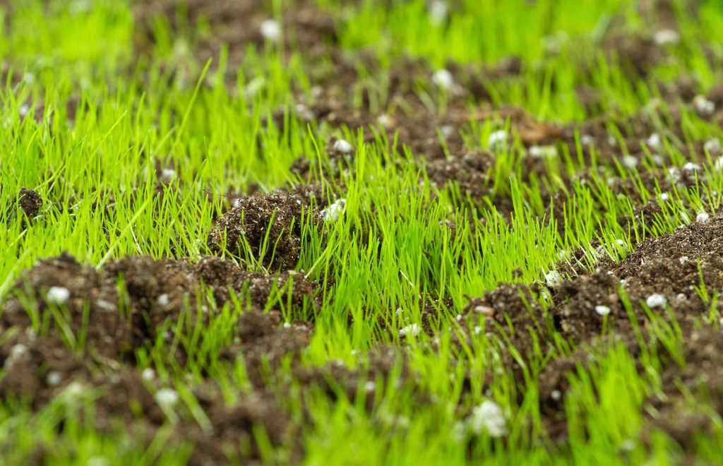 Soil enhancement services for turf health